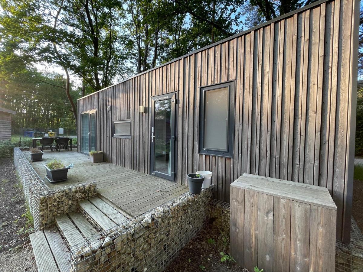 זוטנדאל Chalet Het Edelhert מראה חיצוני תמונה